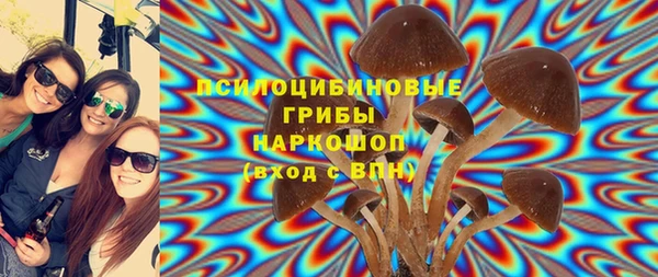 герыч Верхний Тагил