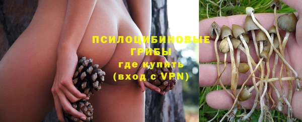 герыч Верхний Тагил