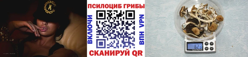 Псилоцибиновые грибы Psilocybine cubensis  blacksprut ONION  Брянск 